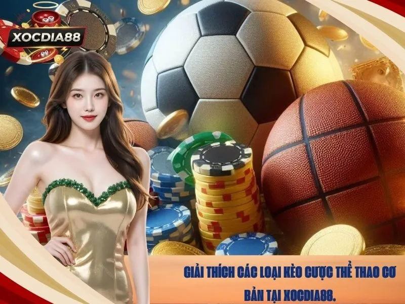Giải thích các loại kèo cược thể thao cơ bản tại xocdia88.