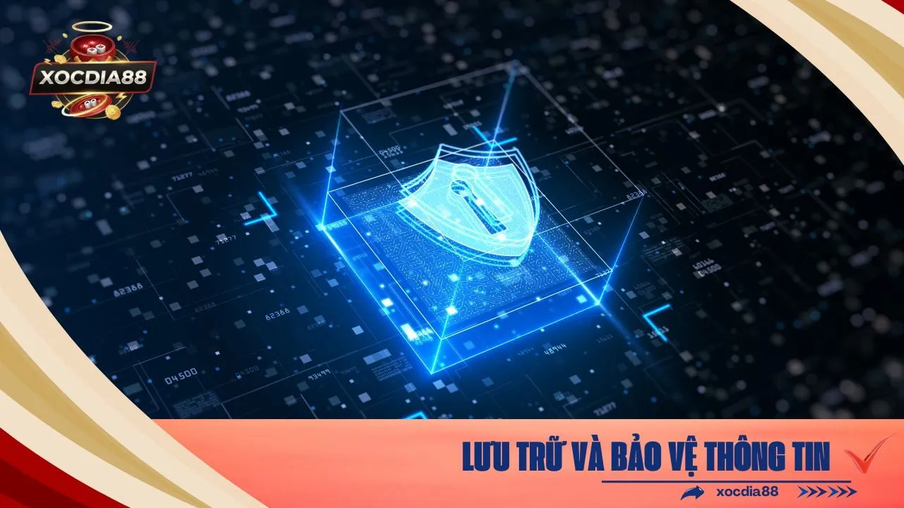 Lưu Trữ và Bảo Vệ Thông Tin