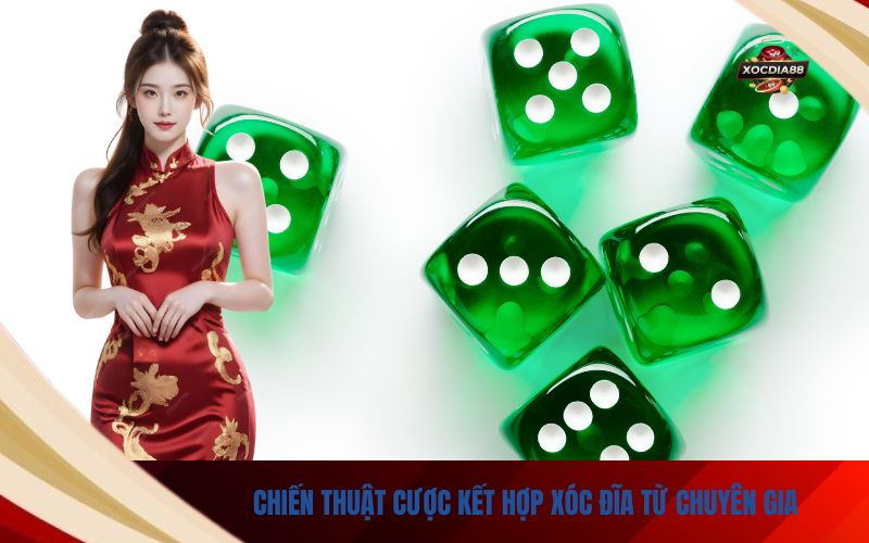 Chiến Thuật Cược Kết Hợp Xóc Đĩa Từ Chuyên Gia