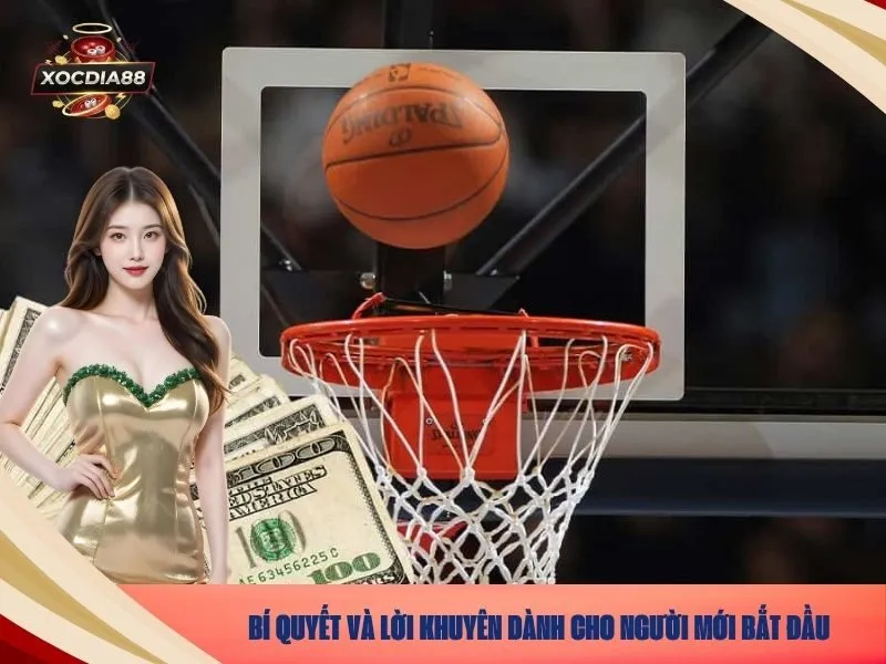 Bí quyết và Lời khuyên dành cho người mới bắt đầu