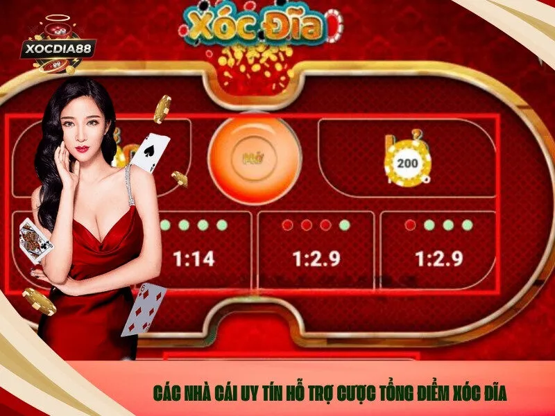Các nhà cái uy tín hỗ trợ Cược Tổng Điểm Xóc Đĩa