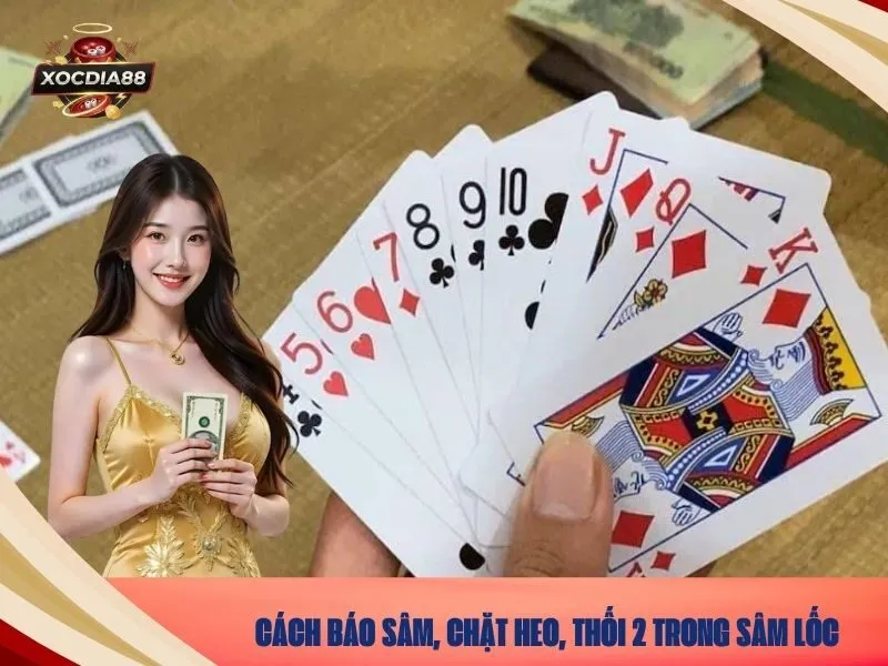 Cách báo sâm, chặt heo, thối 2 trong sâm lốc