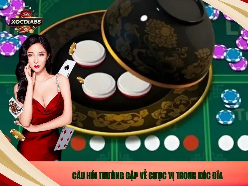 Câu Hỏi Thường Gặp Về Cược Vị Trong Xóc Đĩa