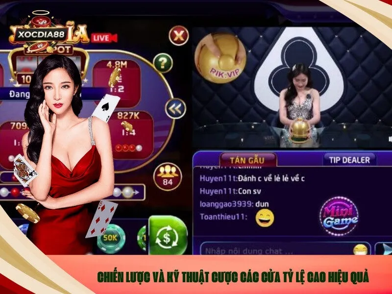 Chiến lược và kỹ thuật cược các cửa tỷ lệ cao hiệu quả