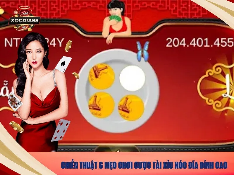 Chiến Thuật & Mẹo Chơi Cược Tài Xỉu Xóc Đĩa Đỉnh Cao