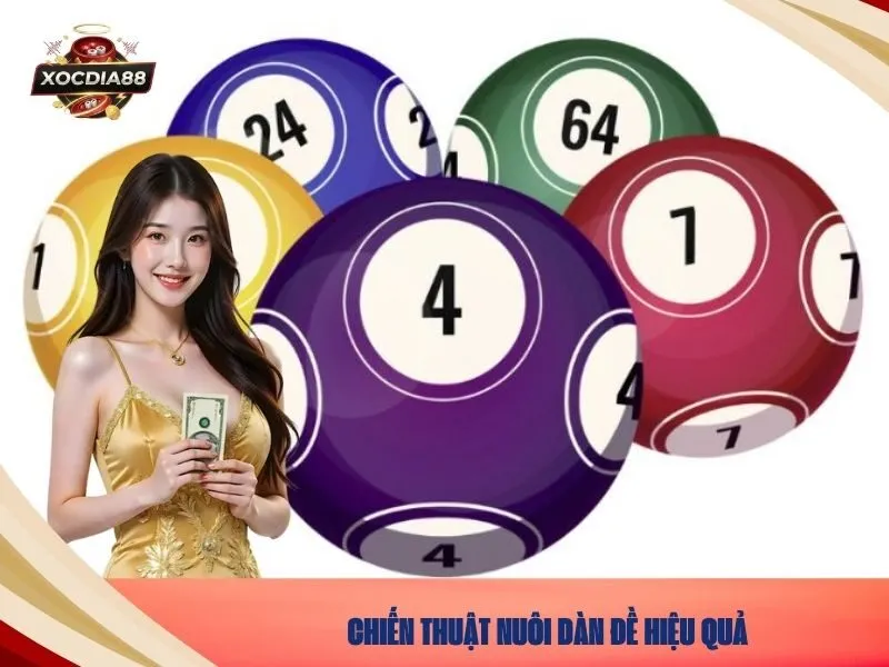 Chiến thuật nuôi dàn đề hiệu quả