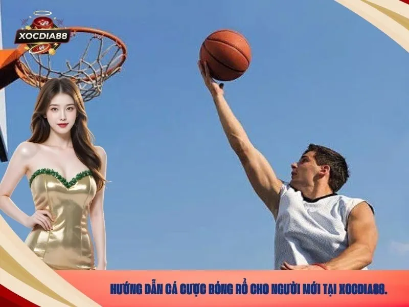 Hướng dẫn cá cược bóng rổ cho người mới tại xocdia88.