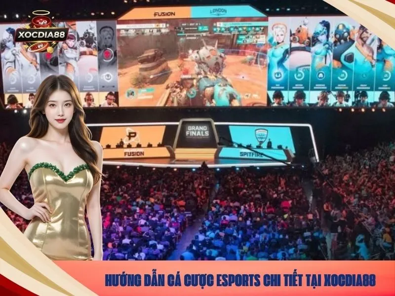 Hướng dẫn cá cược esports chi tiết tại xocdia88.