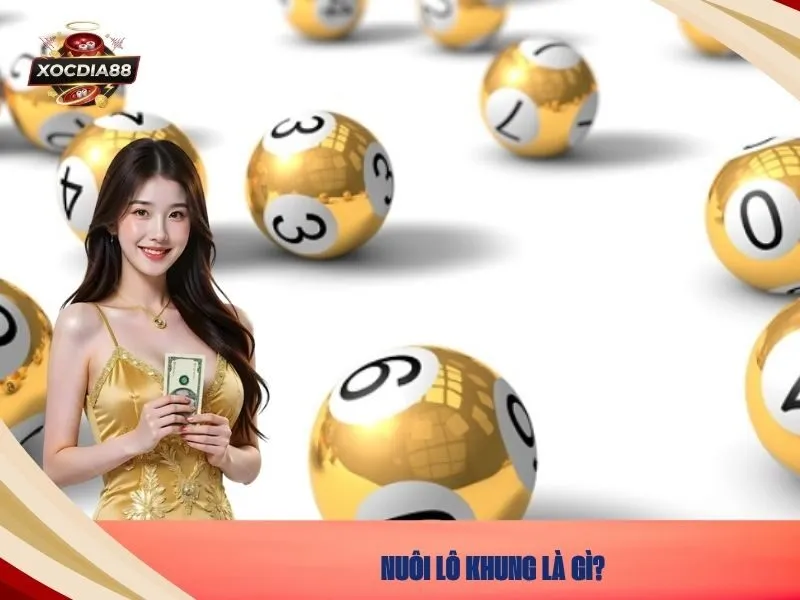 Nuôi lô khung là gì