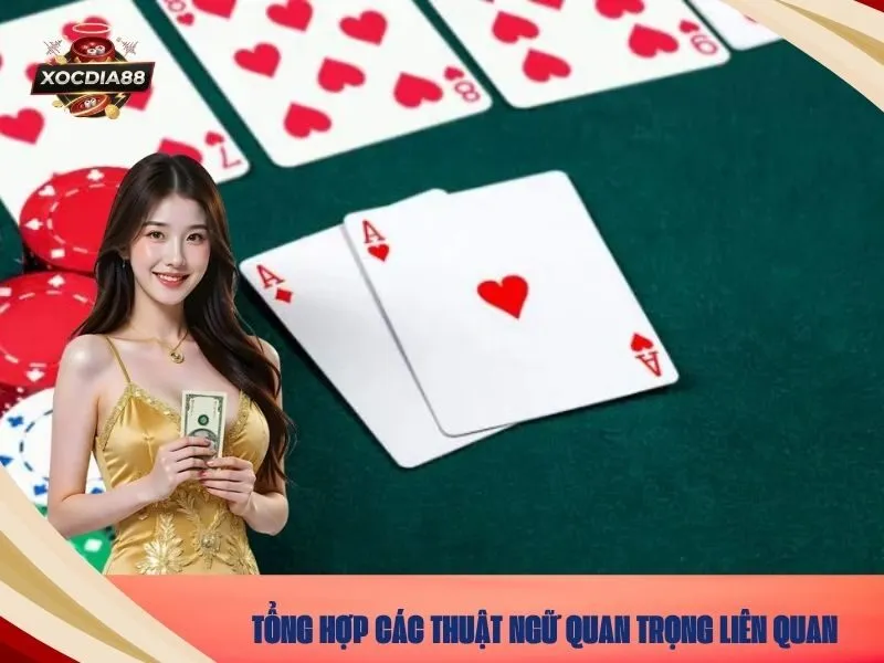 Tổng Hợp Các Thuật Ngữ Quan Trọng Liên Quan